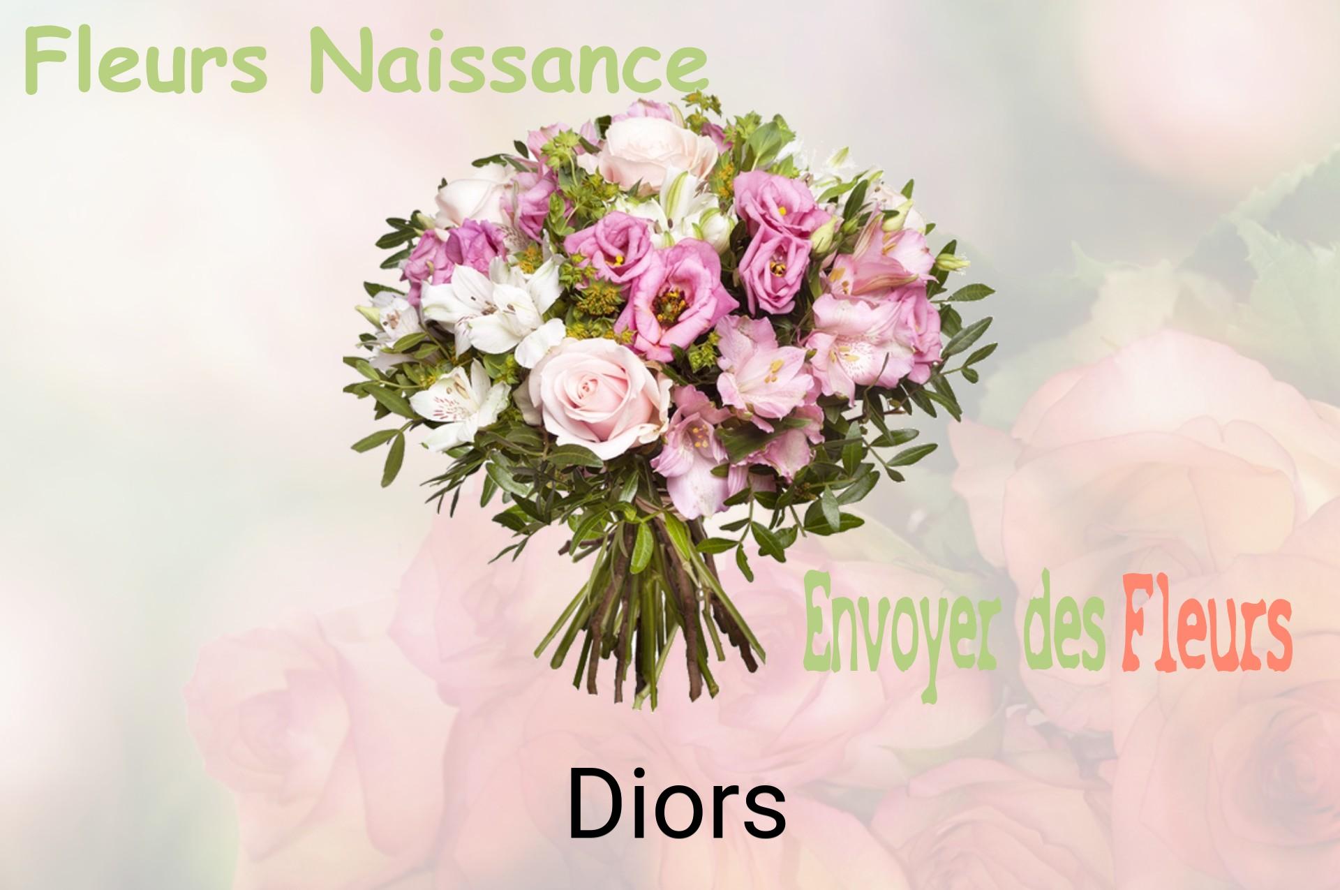 Bouquet de fleurs de naissance livré à Diors