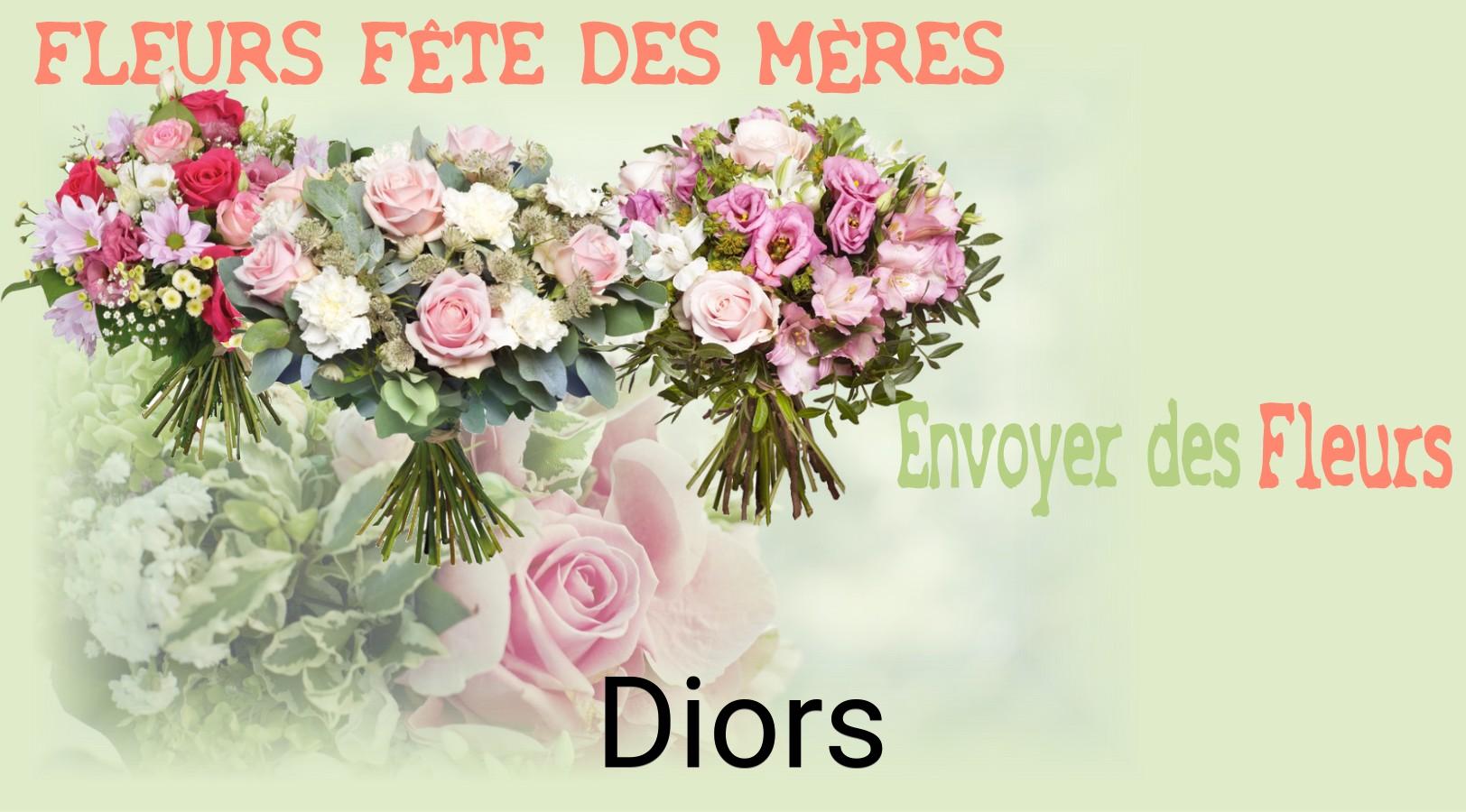 Bouquet de Fête des Mères livré à Diors